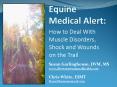 Equine Medical Alert: PowerPoint PPT Presentation