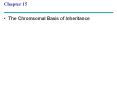 The Chromsomal Basis of Inheritance PowerPoint PPT Presentation