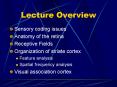 Lecture Overview PowerPoint PPT Presentation