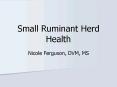 Small Ruminant Herd Health PowerPoint PPT Presentation