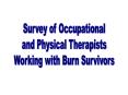 Survey%20of%20Occupational PowerPoint PPT Presentation