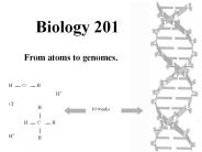 Biology%20201