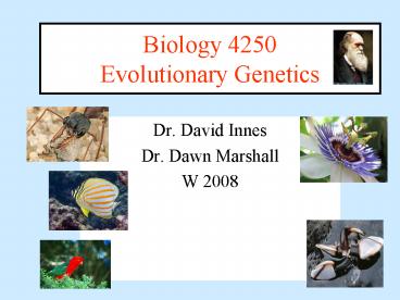 Biology 4250 Evolutionary Genetics