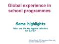 Global experience in school programmes PowerPoint PPT Presentation
