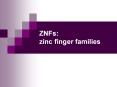 ZNFs: zinc finger families PowerPoint PPT Presentation