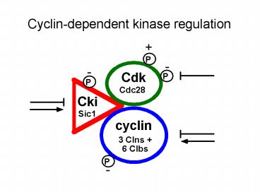 presentation player overlay