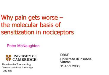 Trieste meeting Dec 2001