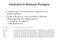 Introduction to Molecular Phylogeny PowerPoint PPT Presentation