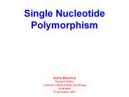 Single Nucleotide Polymorphism