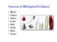 Sources of Biological Evidence PowerPoint PPT Presentation