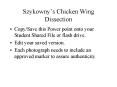 Szykownys Chicken Wing Dissection PowerPoint PPT Presentation