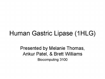Human Gastric Lipase 1HLG