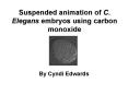 Suspended animation of C' Elegans embryos using carbon monoxide PowerPoint PPT Presentation