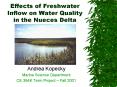 Effects of Freshwater Inflow on Water Quality in the Nueces Delta PowerPoint PPT Presentation