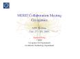 MERIT Collaboration Meeting PowerPoint PPT Presentation