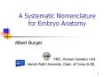 A%20Systematic%20Nomenclature%20for%20Embryo%20Anatomy PowerPoint PPT Presentation