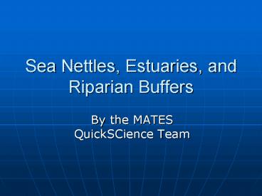 Sea Nettles, Estuaries, and Riparian Buffers