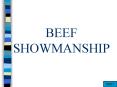 BEEF SHOWMANSHIP PowerPoint PPT Presentation