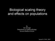 Biological scaling theory and effects on populations