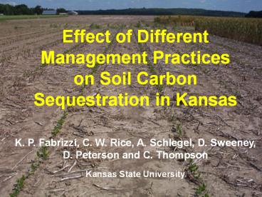 Effect of Different Management Practices on Soil Carbon Sequestration in Kansas