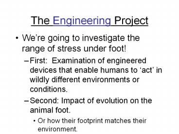 The Engineering Project