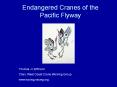 Endangered%20Cranes%20of%20the%20Pacific%20Flyway PowerPoint PPT Presentation