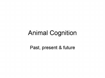 Animal Cognition