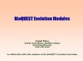 BioQUEST Evolution Modules PowerPoint PPT Presentation
