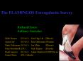 The FLAMINGOS Extragalactic Survey PowerPoint PPT Presentation