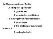 IV' Macroevolutionary Pattern