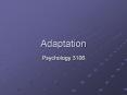 Adaptation PowerPoint PPT Presentation