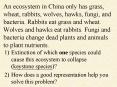 An ecosystem in China only has grass, wheat, rabbits, wolves, hawks, fungi, and bacteria' Rabbits ea PowerPoint PPT Presentation
