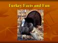 Turkey Facts and Fun PowerPoint PPT Presentation