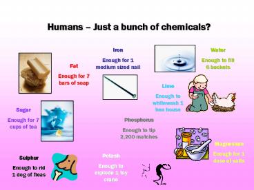 Humans Just a bunch of chemicals