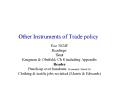 Other Instruments of Trade policy PowerPoint PPT Presentation