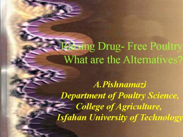 Raising Drug Free Poultry