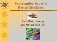 Examination Issues in Herbal Medicines