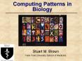 Computing Patterns in Biology PowerPoint PPT Presentation