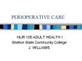 PERIOPERATIVE CARE PowerPoint PPT Presentation