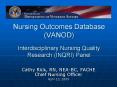 Nursing Outcomes Database VANOD Interdisciplinary Nursing Quality Research INQRI Panel PowerPoint PPT Presentation