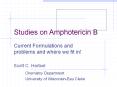 Studies on Amphotericin B PowerPoint PPT Presentation