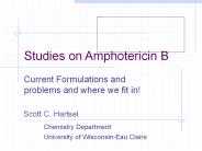 Studies on Amphotericin B