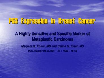 P63%20Expression%20in%20Breast%20Cancer