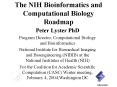 The NIH Bioinformatics and Computational Biology Roadmap PowerPoint PPT Presentation