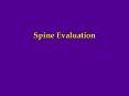 Spine Evaluation PowerPoint PPT Presentation