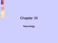 Neurology PowerPoint PPT Presentation