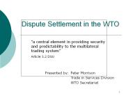 Dispute Settlement in the WTO