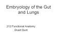 Embryology of the Gut and Lungs PowerPoint PPT Presentation