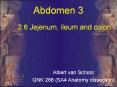 2.6%20Jejenum,%20ileum%20and%20colon PowerPoint PPT Presentation