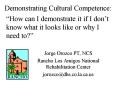 Demonstrating Cultural Competence: PowerPoint PPT Presentation